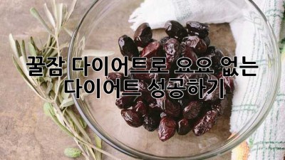 꿀잠 다이어트로 요요 없는 다이어트 성공하기!