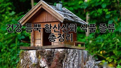 건강 듬뿍! 항산산화 식품 종류 총정리