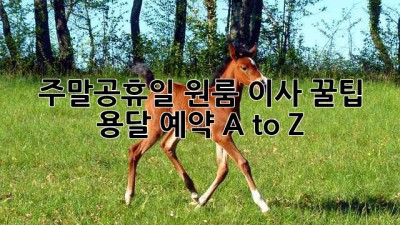 주말/공휴일 원룸 이사 꿀팁🍯 용달 예약 A to Z