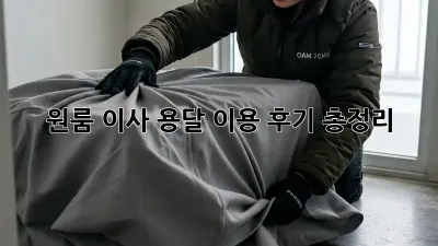 원룸 이사? 용달 이용 후기 총정리! 💸