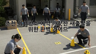 춘천 이사청소 예약, 깨끗한 새출발을 위한 완벽 가이드!