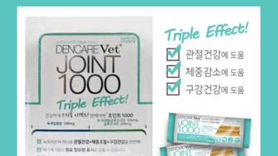 내 인생템 VET! 득템 꿀팁 대방출🎁