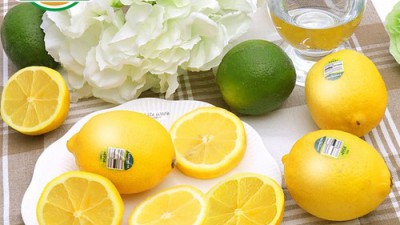 미국산 썬키스트 팬시 레몬 로얄과: 솔직 후기와 꿀팁 대방출!🍋